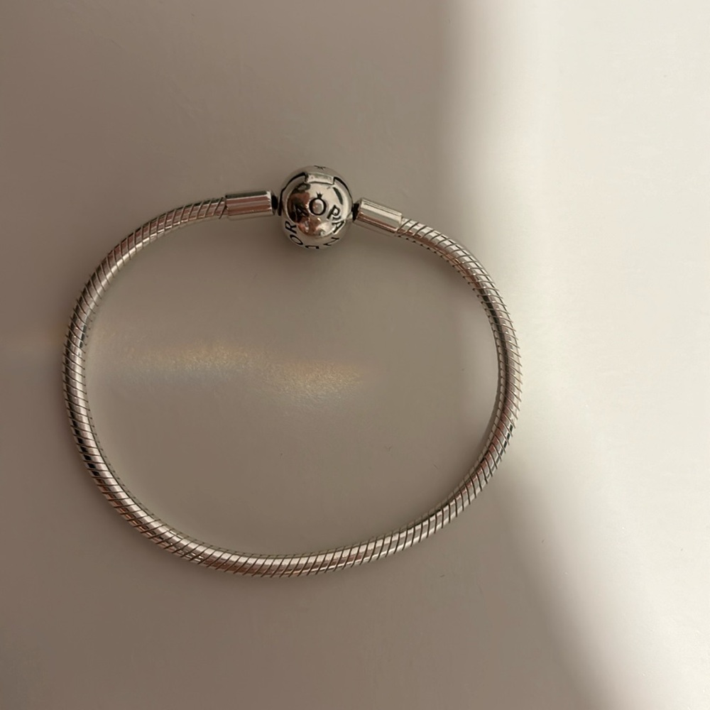 Pandora Snake Chain Bracelet